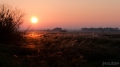 015_Biebrza - pazdziernik 2013